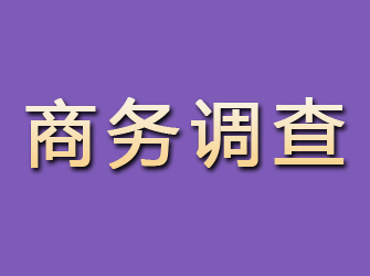 化隆商务调查